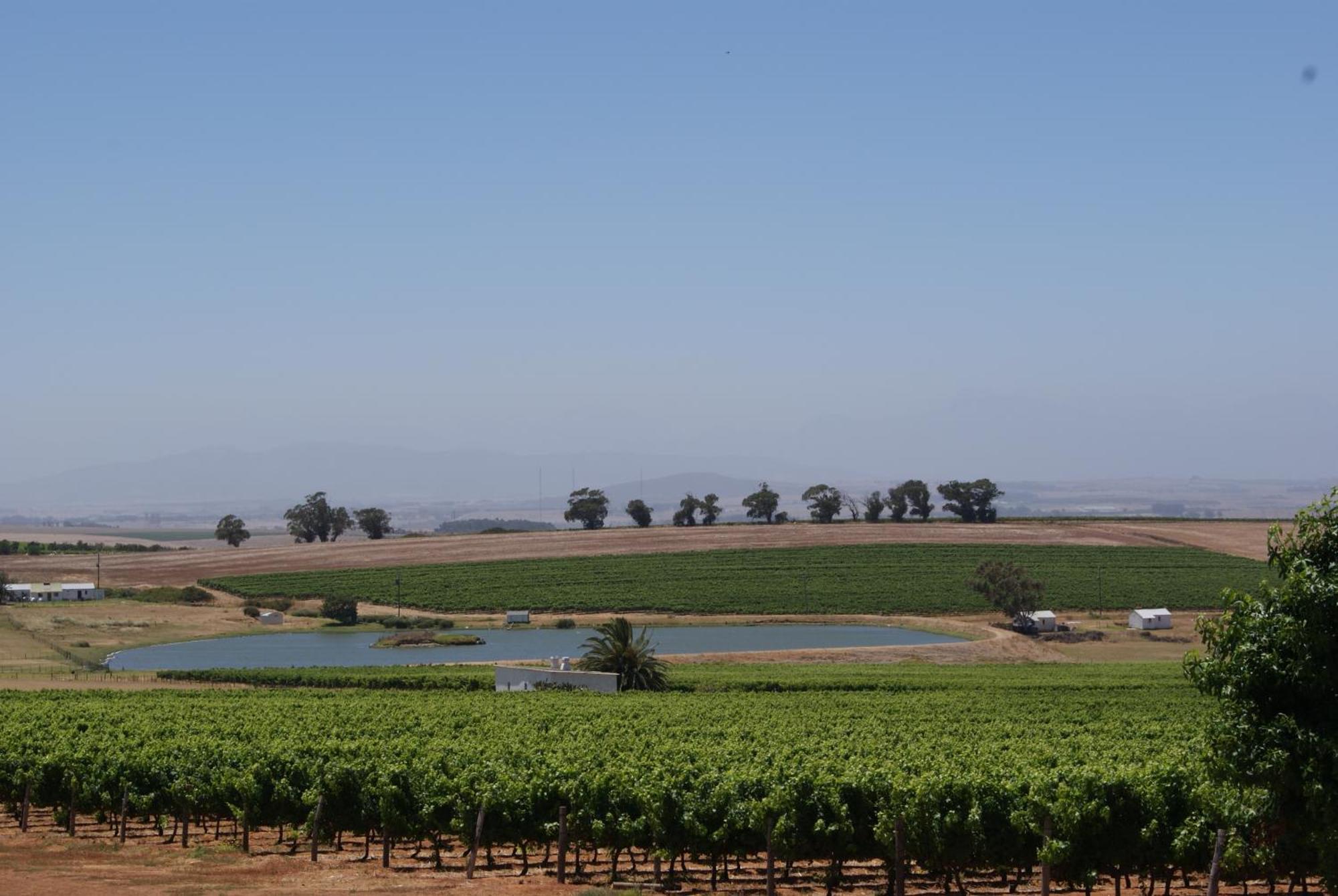 Meerendal Boutique Hotel Durbanville Bagian luar foto